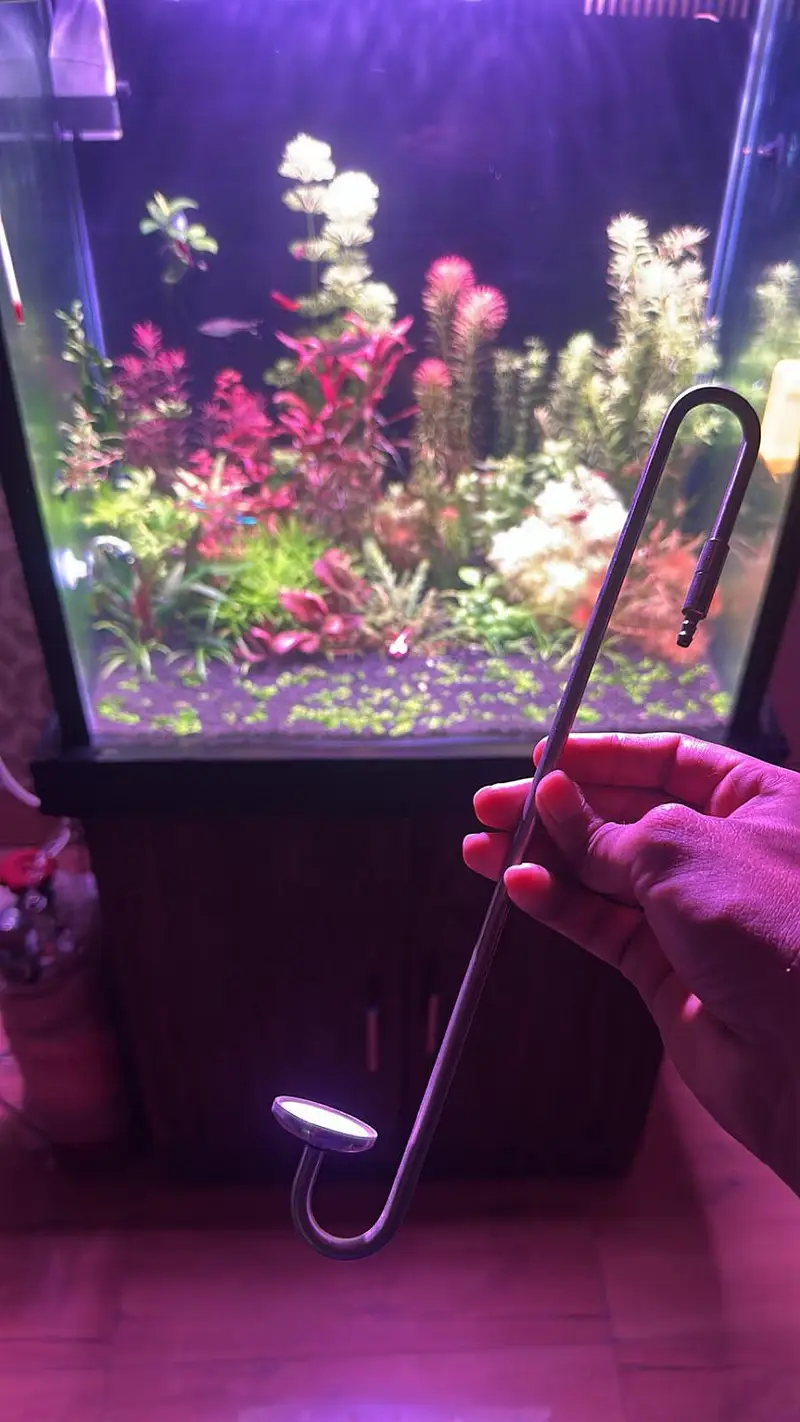 Fish aquarium with back Sump — photo 3