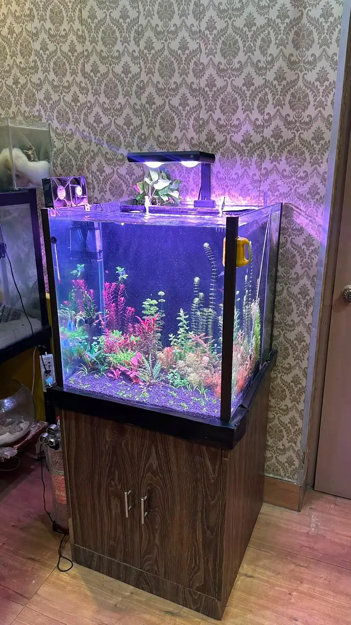 Fish aquarium with back Sump — photo 4
