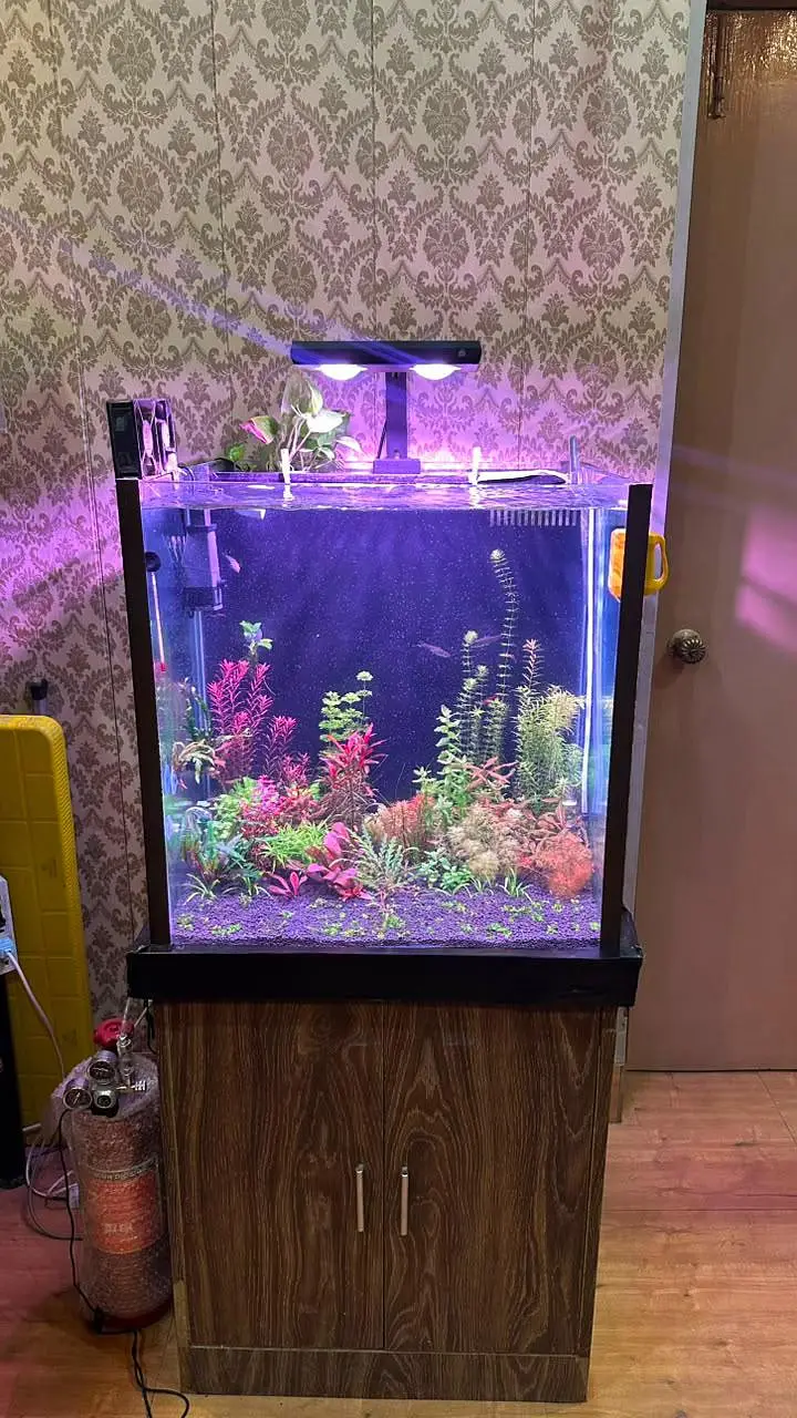 Fish aquarium with back Sump — photo 5