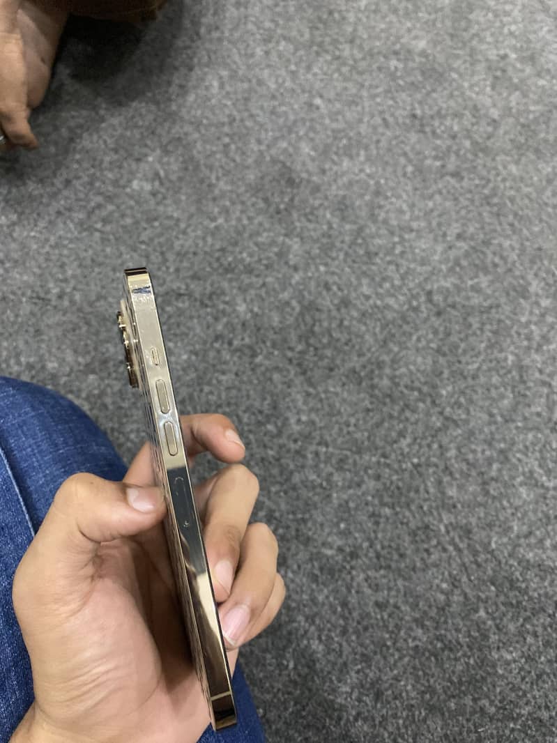 iPhone 13 Pro Max 1