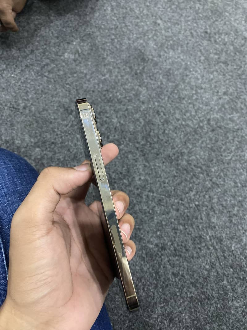 iPhone 13 Pro Max 2