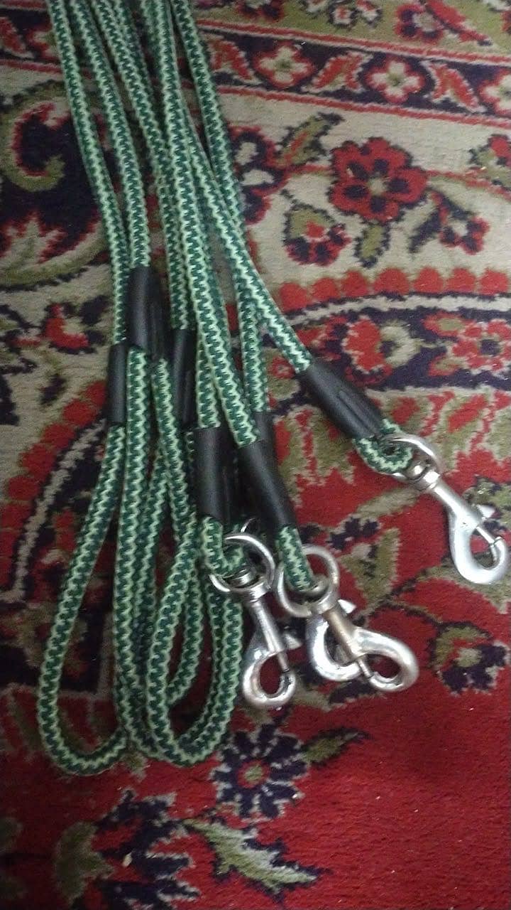 Pet Accessories 1
