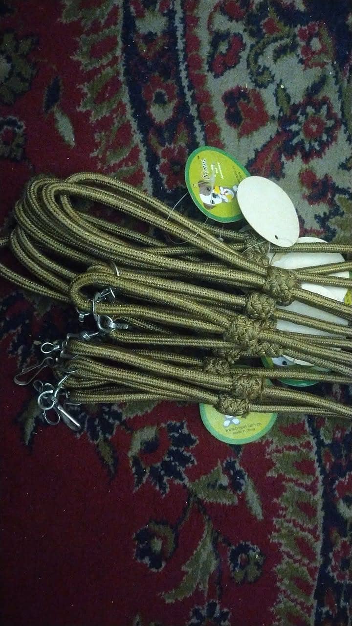 Pet Accessories 2