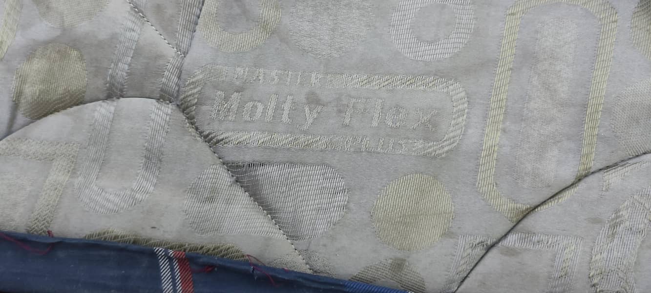 molty flex spring foam 2