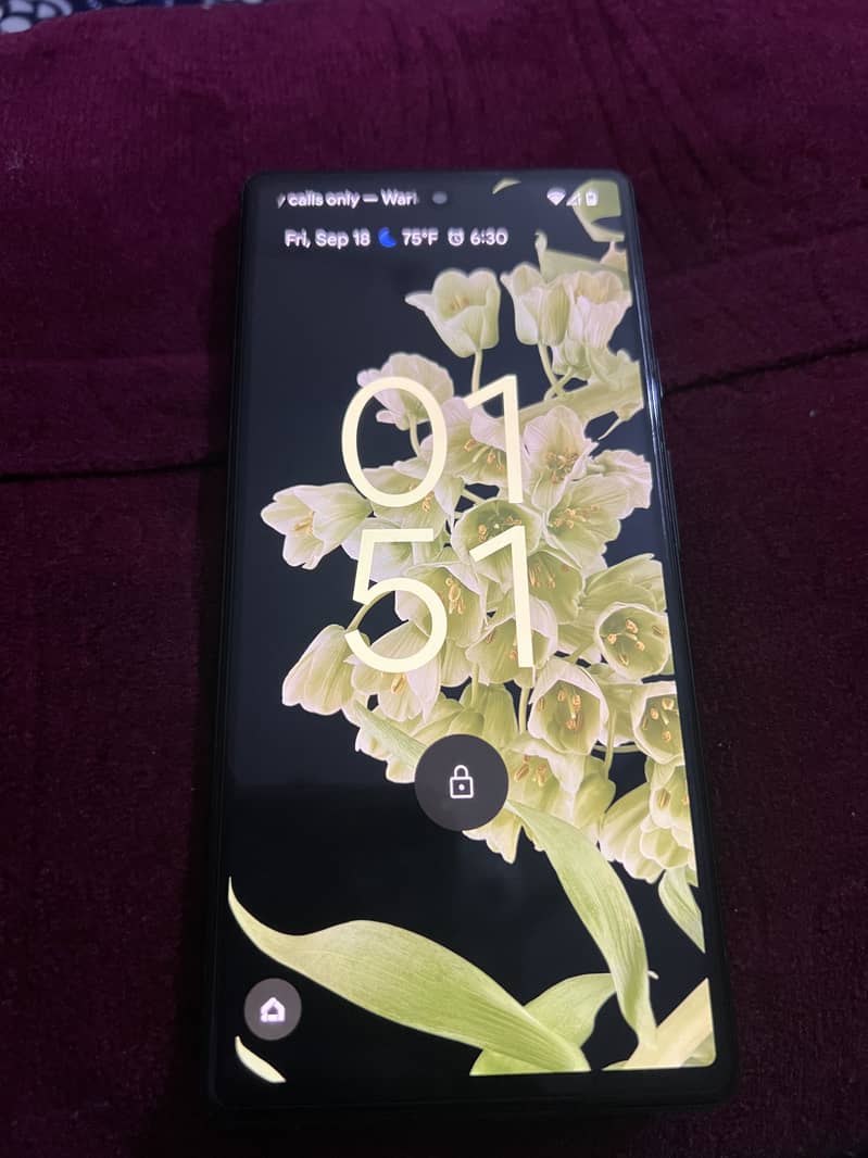 Google Pixel 6 5