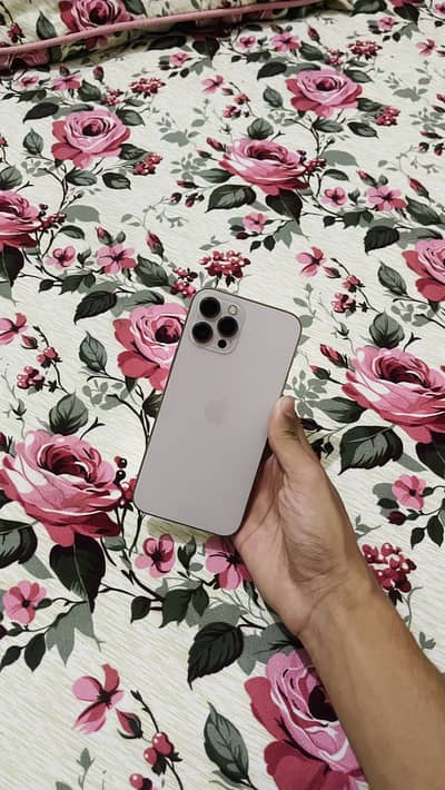 Apple iPhone 12 Pro Max