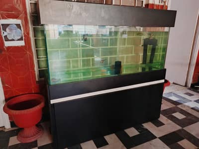 Aquarium