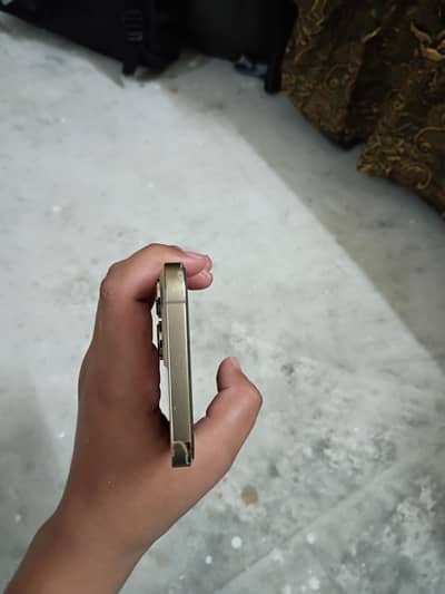 iPhone 13 Pro Max golden