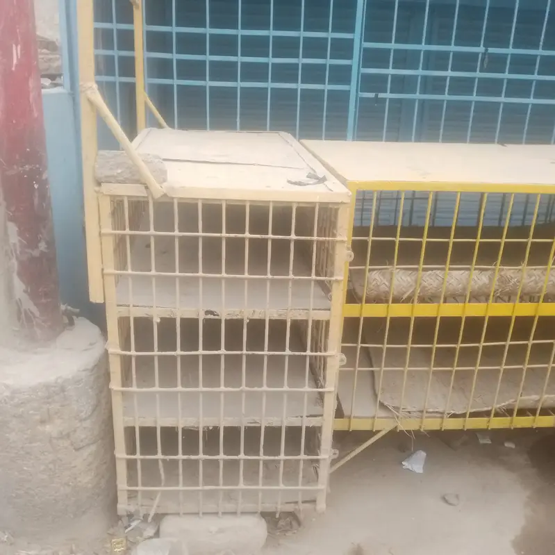 Chicken shop cage or sabzi reg — photo 3