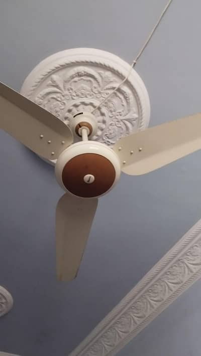new AC DC