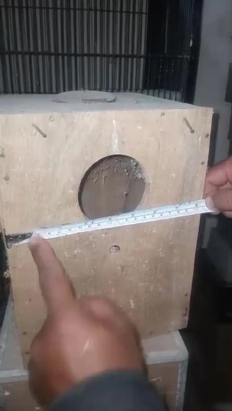 Bird Boxes for Sale — photo 3