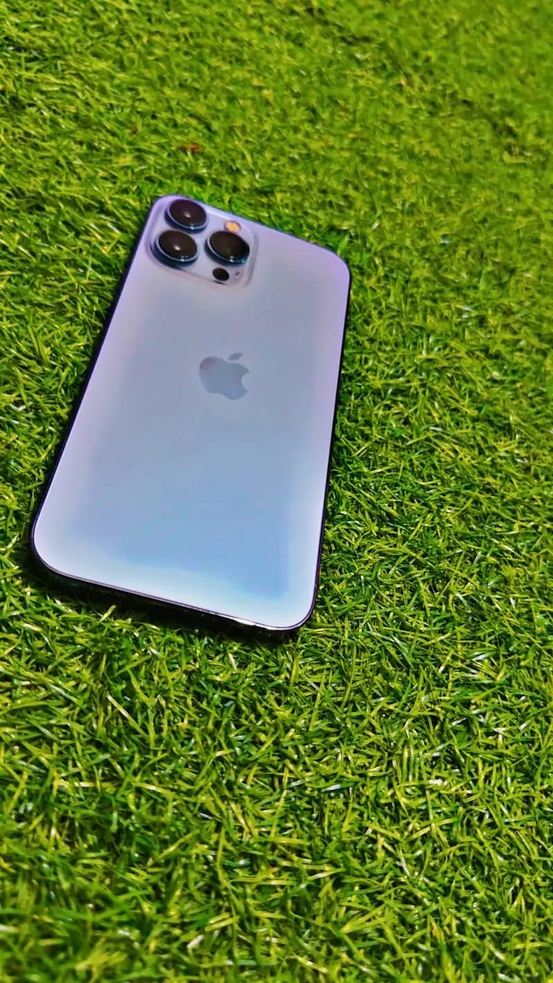 Apple iPhone 13 Pro Max 1