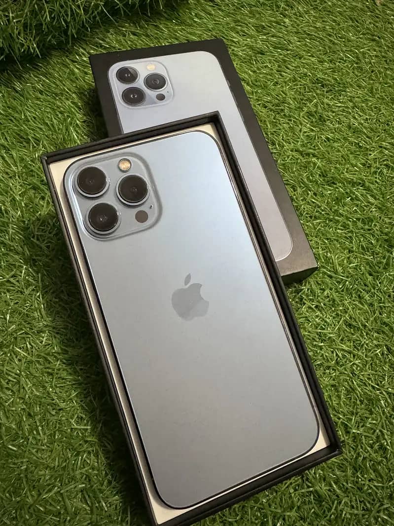 Apple iPhone 13 Pro Max 9