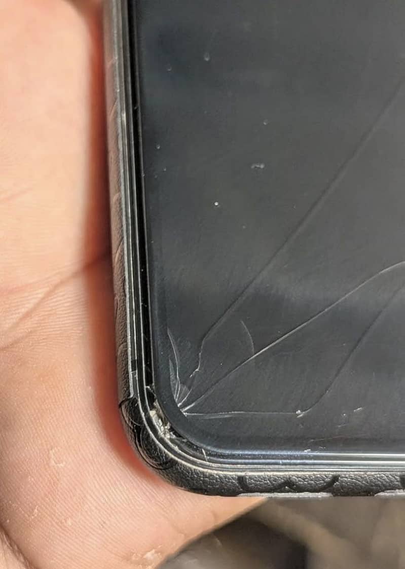 Apple iPhone 11 3