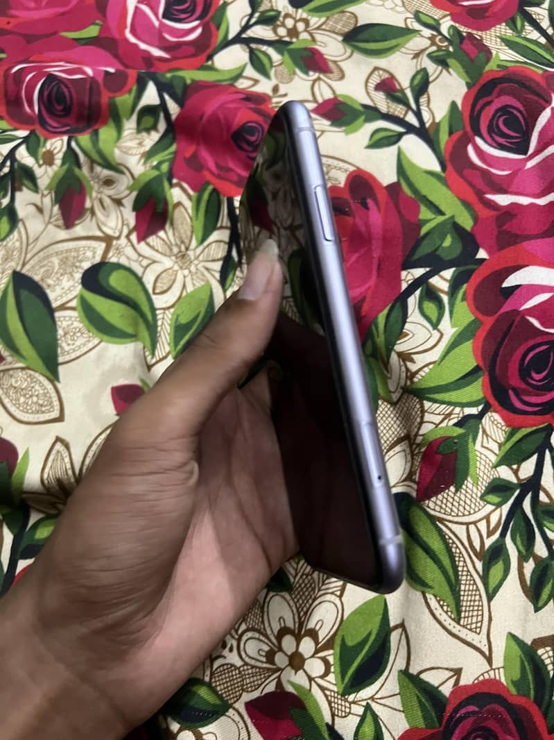 Apple iPhone 11 1