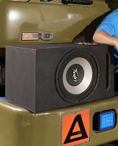peavey 12 inch subwoofer