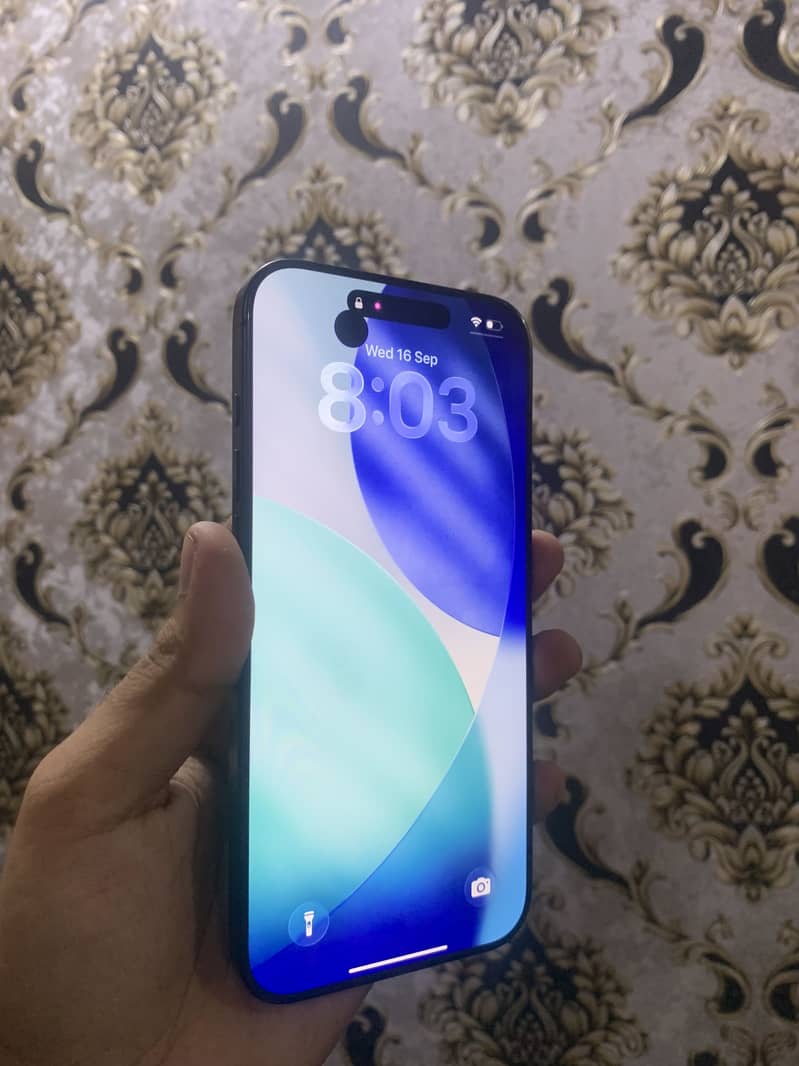 Apple iPhone 16 Pro Max 2