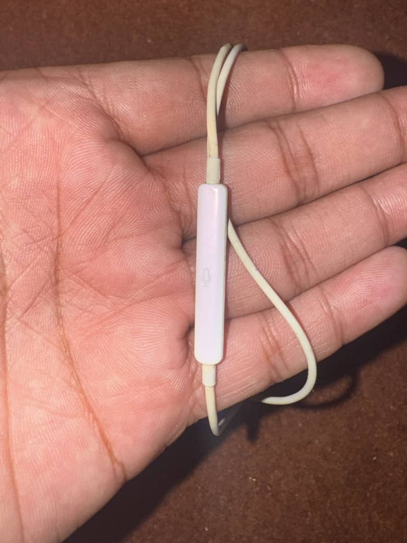 EarPods ( Lightning ) 1