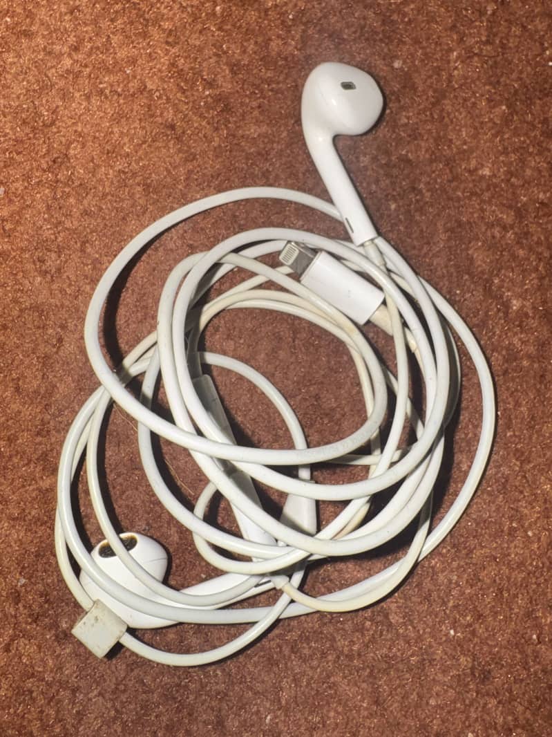 EarPods ( Lightning ) 3