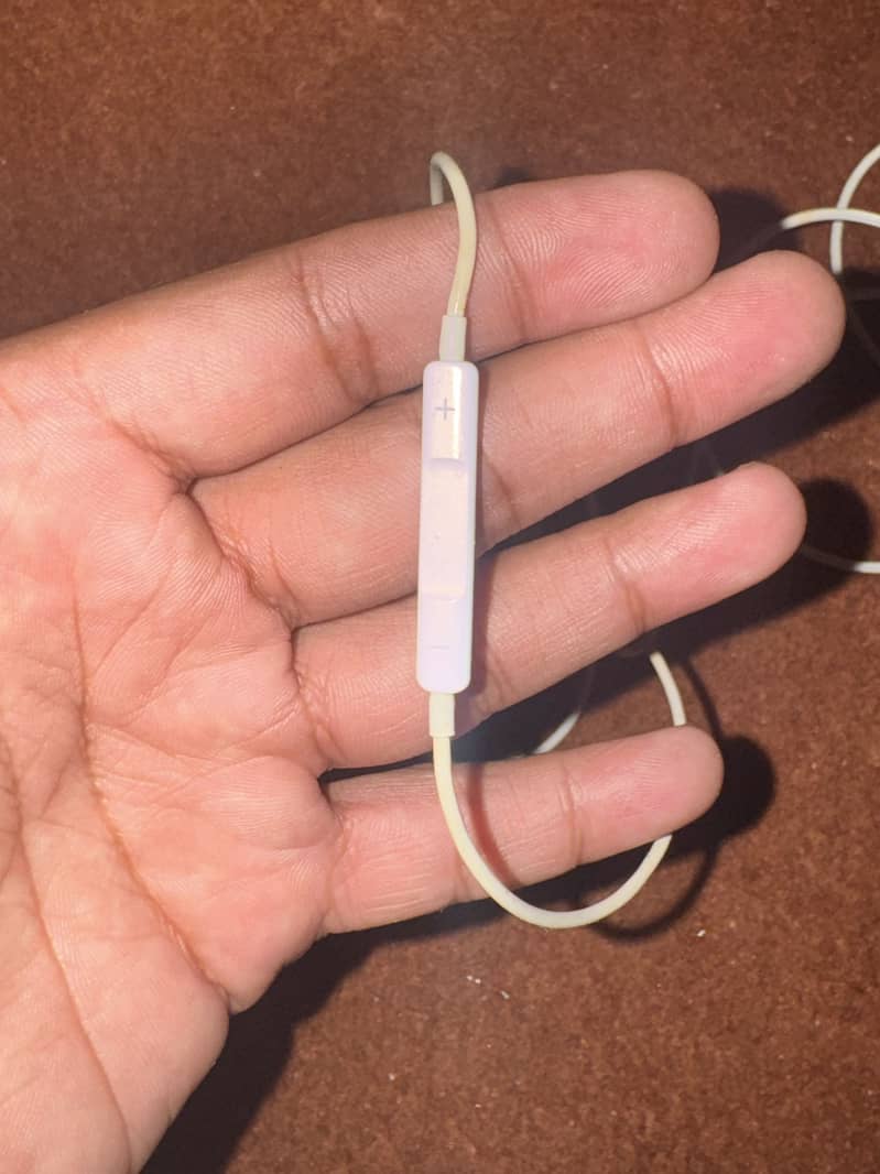 EarPods ( Lightning ) 4