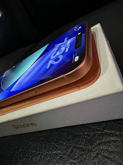 iPhone 17 Pro Max factory unlock