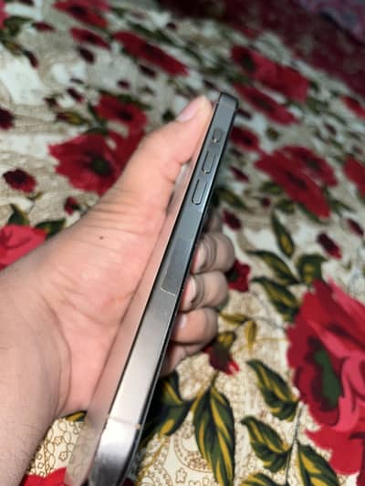 Apple iPhone 16 Pro