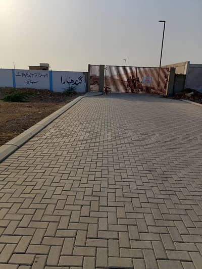 Gandhara Society plot available