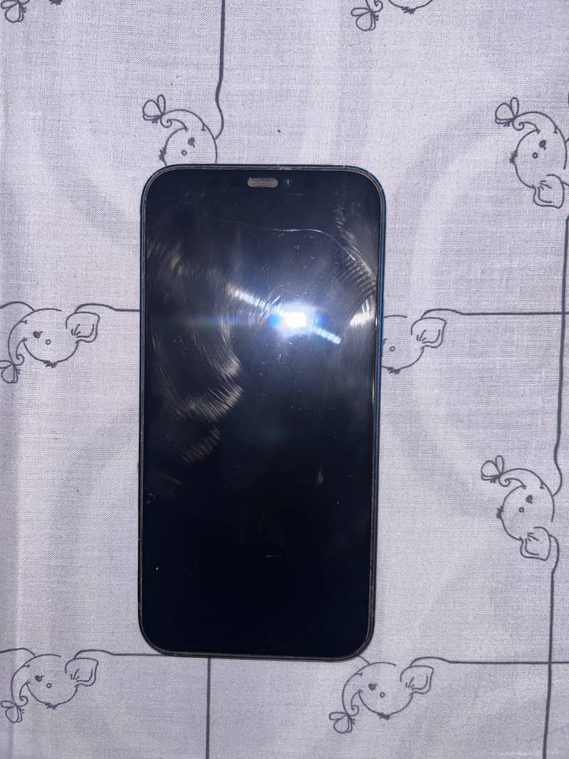 Apple iPhone 12 1
