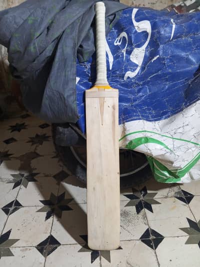 Rawlakot Bat look like coconut