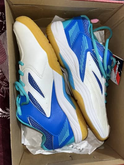 Squash shoes brand new