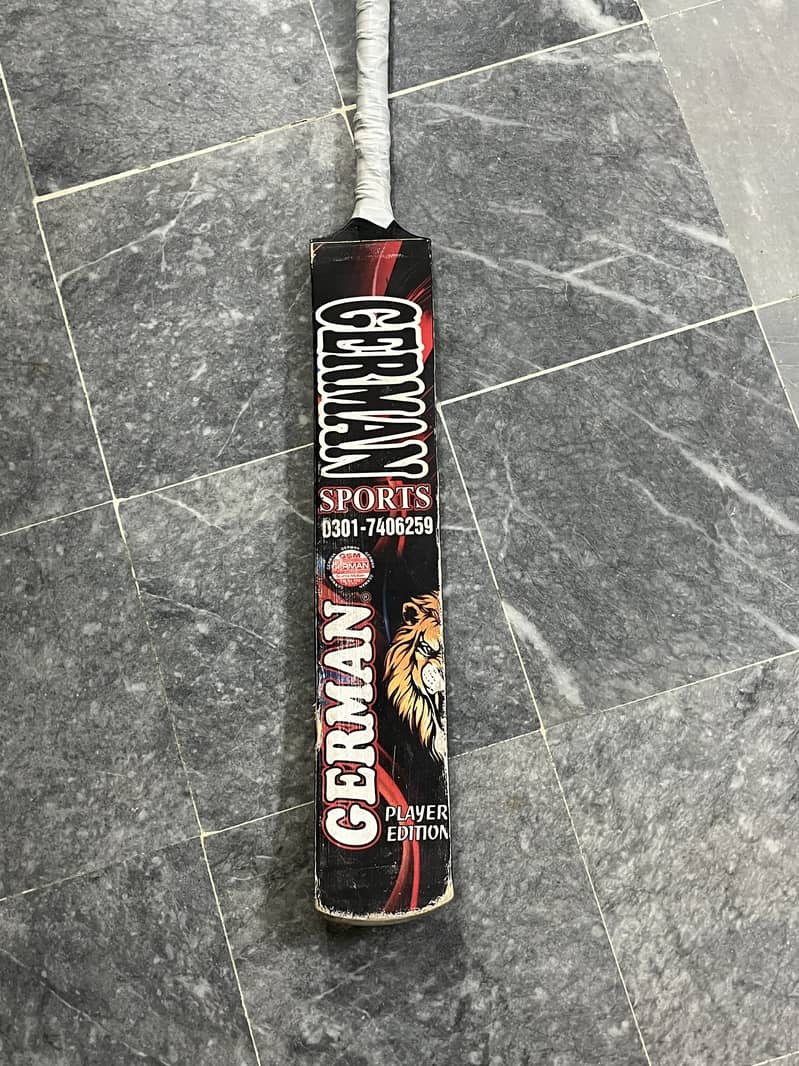 Cricket bat 2