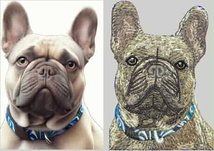 embroidery digitizier what's up number 03172146925