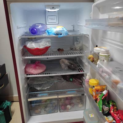Kenwood Refrigerator 18 CFT | Like New