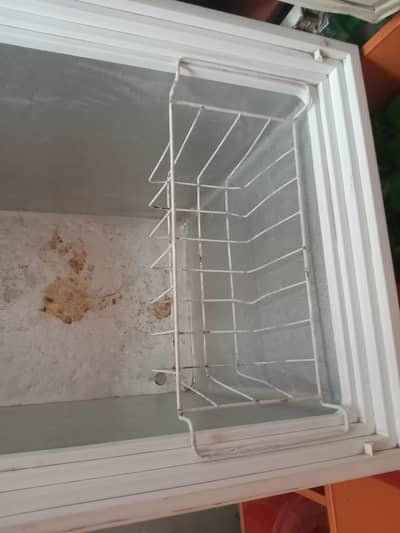 waves freezer
