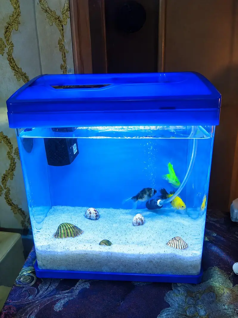 Small Aquarium Kit