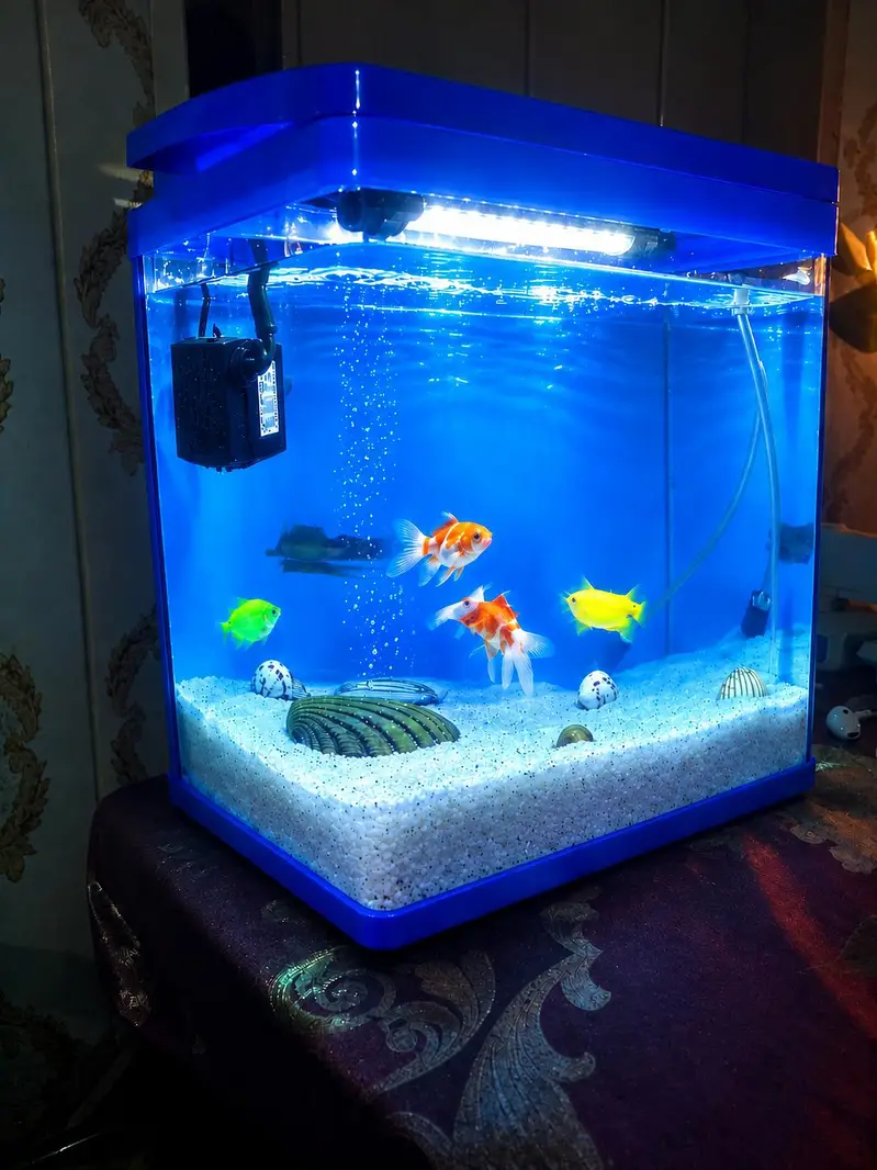 Small Aquarium Kit — photo 2