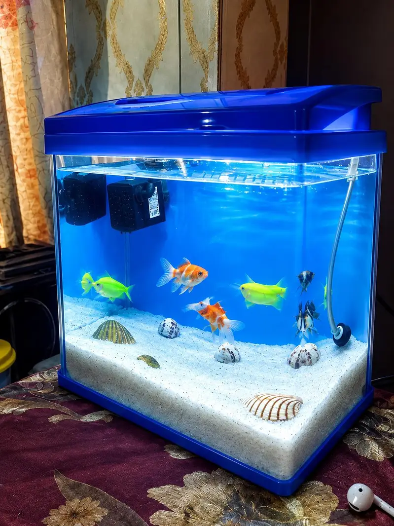 Small Aquarium Kit — photo 3