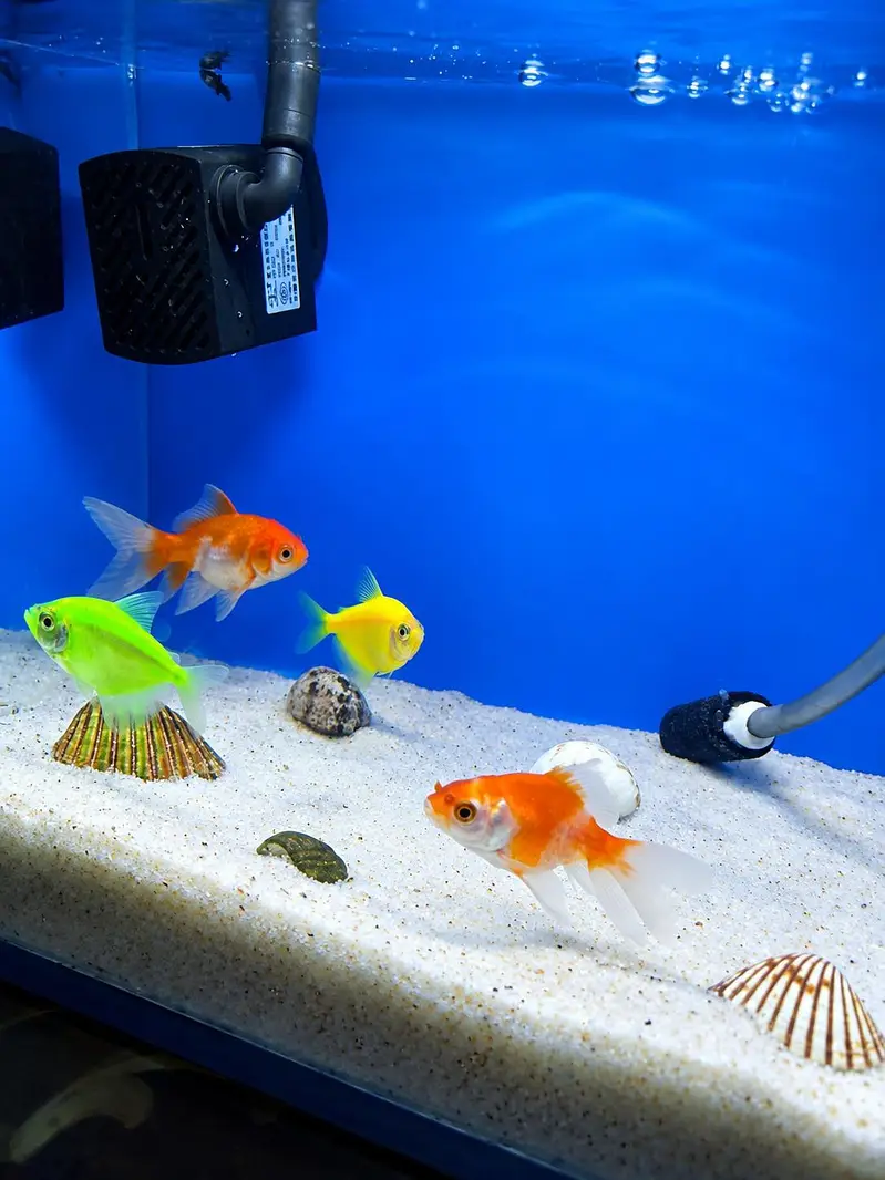 Small Aquarium Kit — photo 4
