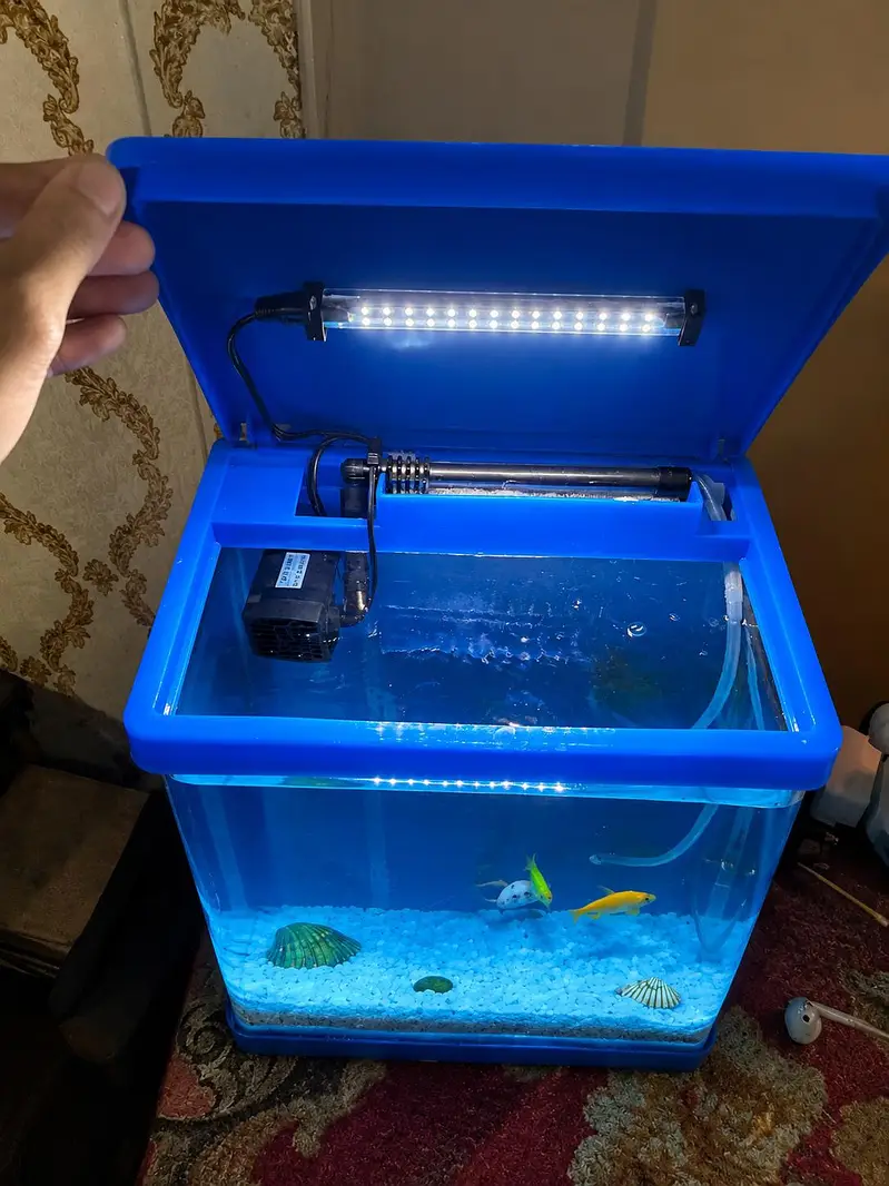 Small Aquarium Kit — photo 5