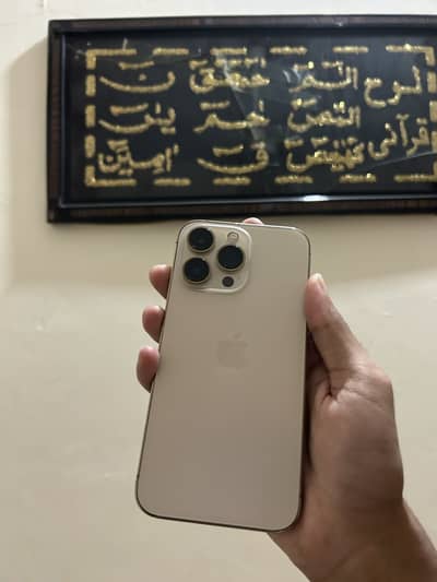 Apple iPhone 13 Pro