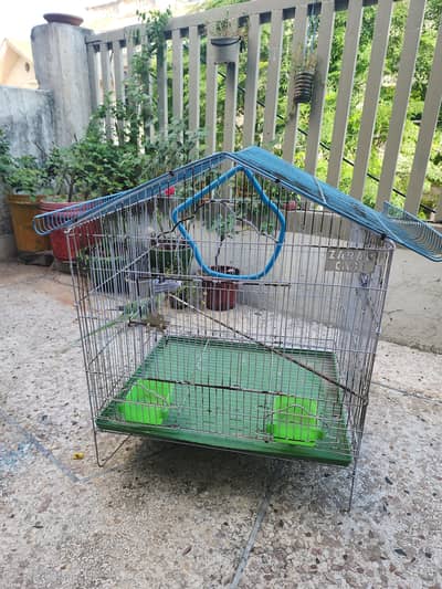 birds cage
