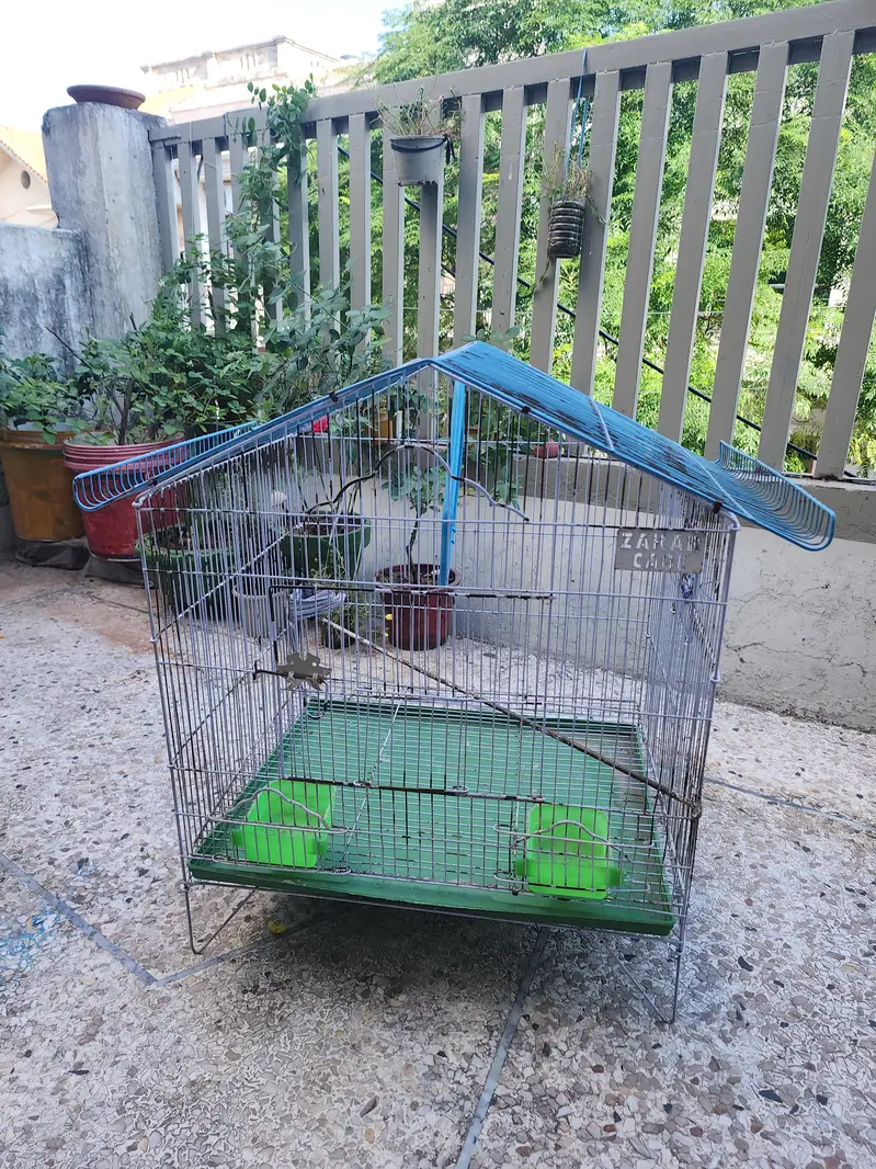 birds cage — photo 2