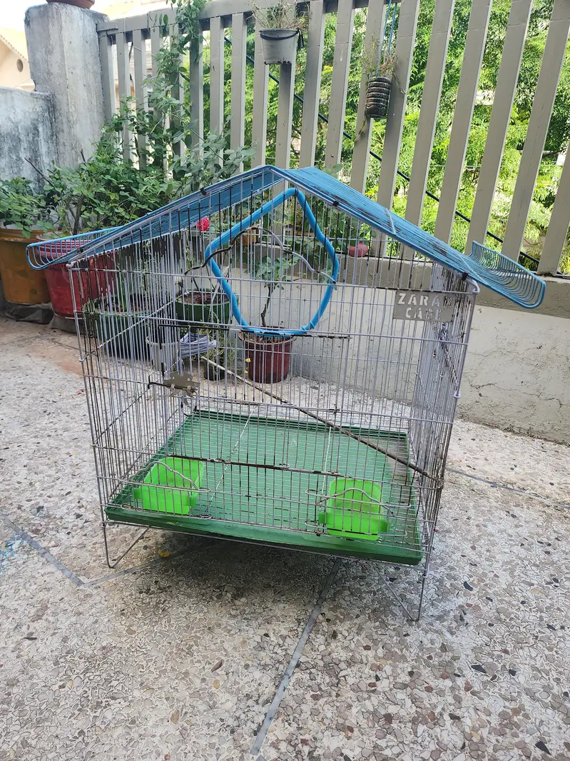 birds cage — photo 3