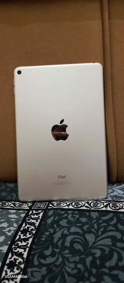 I Pad Mini 5
