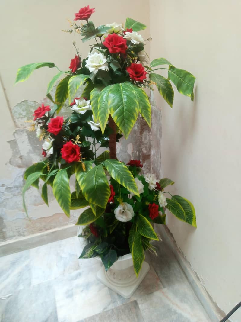 flowers 1
