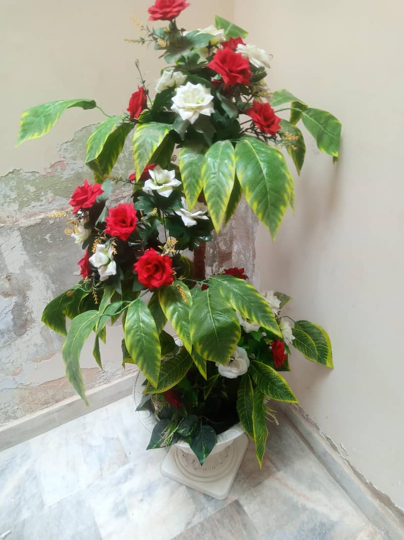 flowers 3