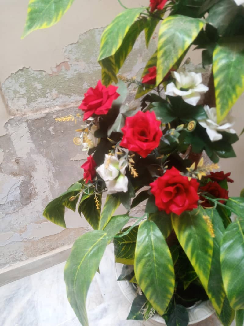 flowers 4