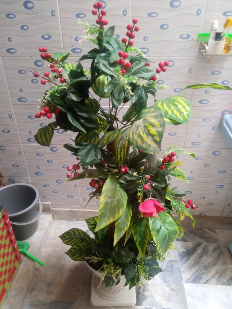flowers 5
