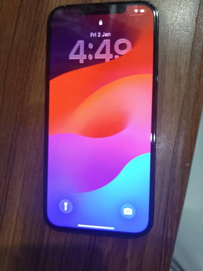 Apple iPhone 12 Pro Max