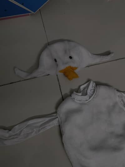 kids duck suit